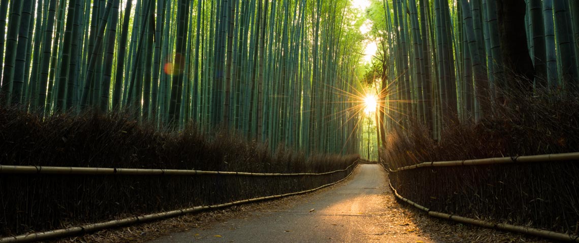 AIM Blog - Stepping up: the transition to leadership